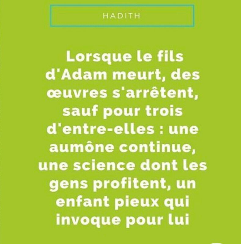 Faire Un Don Pour Votre Madrassa CotizUp