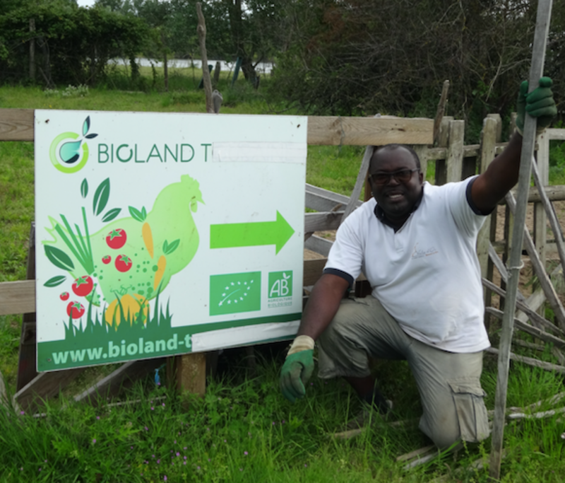 AIDEZ ACHILLE ET SA PLANTATION DE TOMATES BIO CotizUp