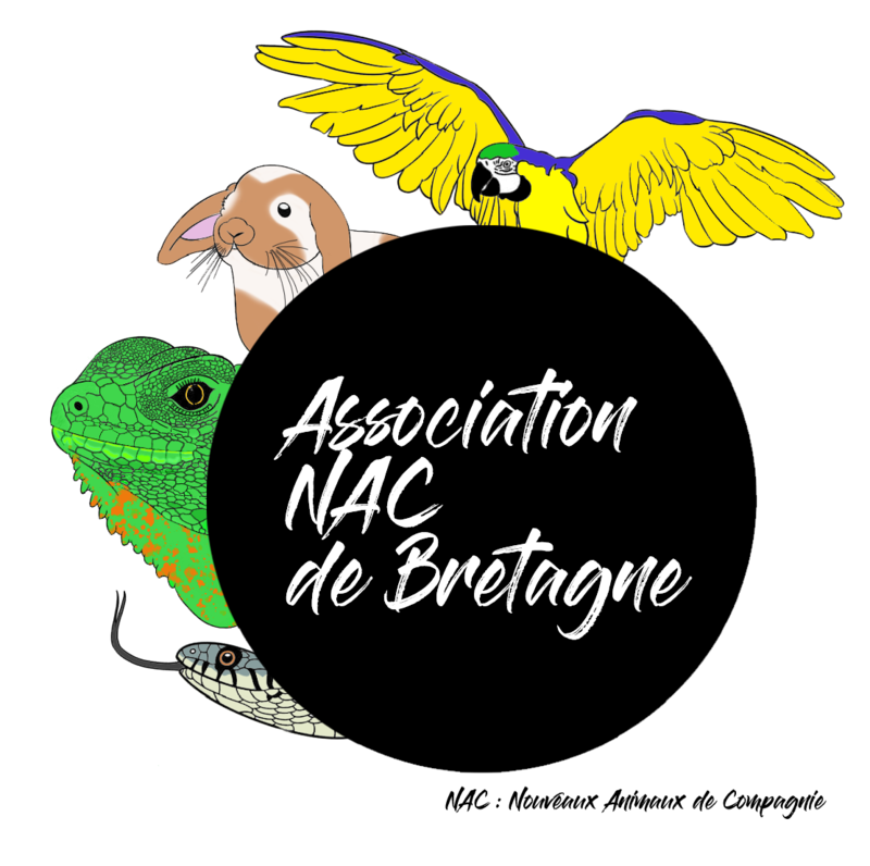Association NAC De Bretagne 2022 CotizUp